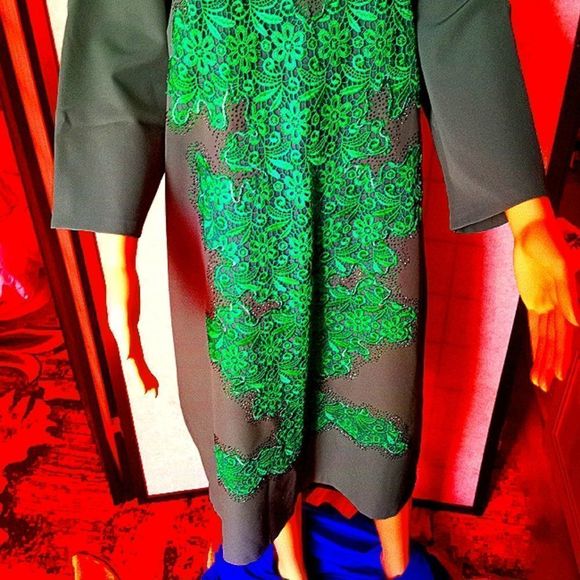 COCO line Plus Size Dress - Picture 1 of 8